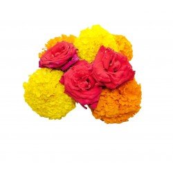 Elementary Flower Kit Elementary Flower Kit