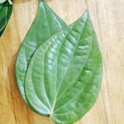 Betel Leaves (2 pc) Betel Leaves (2 pc)