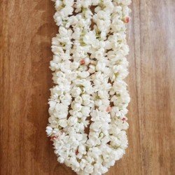 Jasmine String Jasmine String