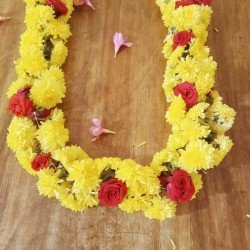 Chrysanthemum with Rose String Chrysanthemum with Rose String