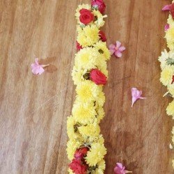 Chrysanthemum with Rose String Chrysanthemum with Rose String